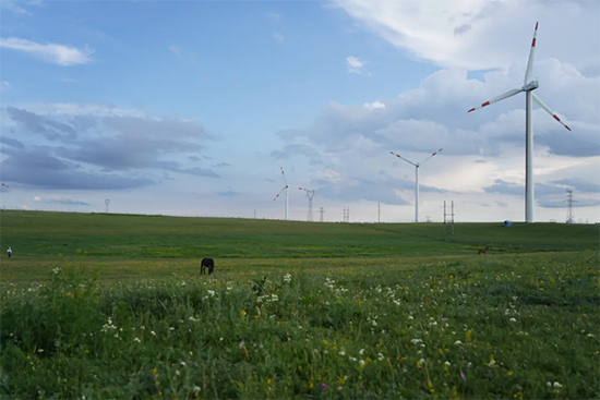 ���y����M�ơ���2021��Z��������������M(j��n)��(n��i)�ɹ���