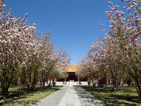 �Ͻ����Ļ�ƪ | ���A��