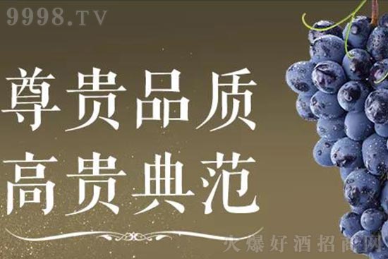 ʥ���Dϵ�����Ѿ�