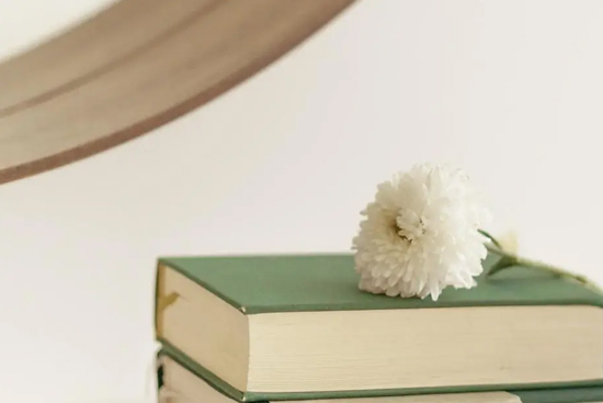 ֪���S�P�������ƺ�Ԓ