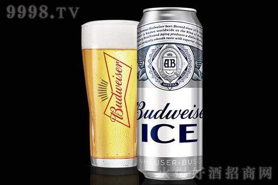 ����ơ�Ʊ�ơ�¿�ζ500ml��18 ����ơ�ƃr�����F����