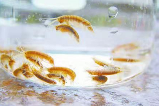 �ſ�������������������������