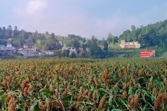 ���Ǽ��F(tu��n)