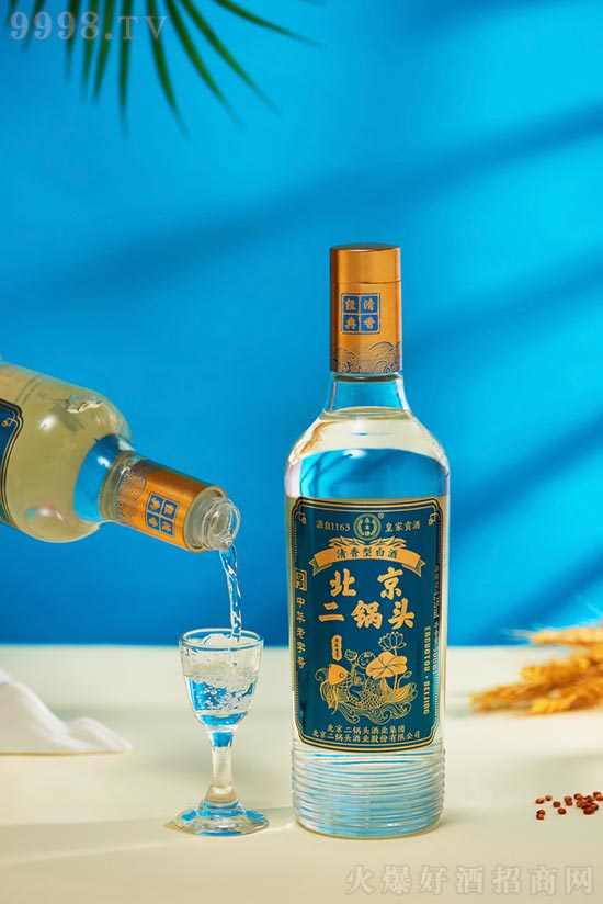 ���S�Ʊ�������^���������