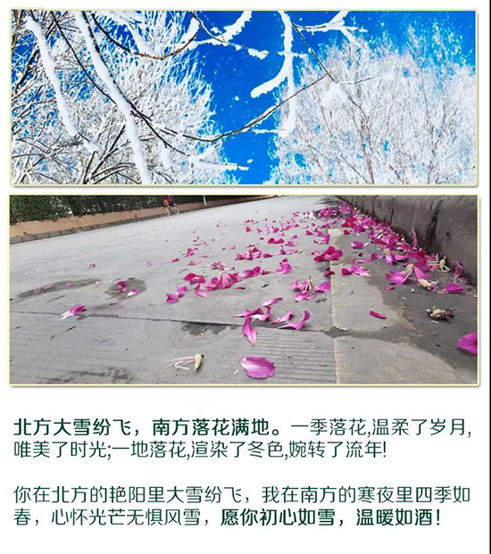 ���u����ɽ������