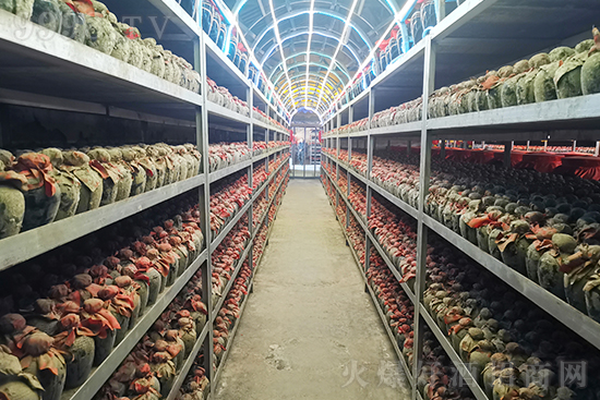 ���ն�����ƘI(y��)