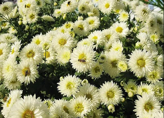 �黢�[�� ��ո��� �ž����2022������