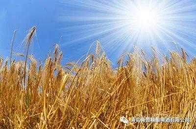 ��ٝ���ơ��