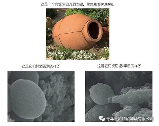 ��ٝ���ơ��