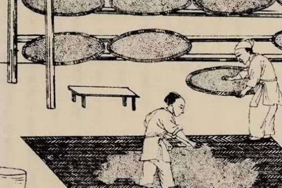 ���j���������������������_�u��׾��������漆