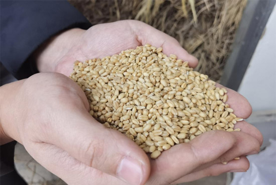 ���j�������ˣ������������_�u��׾��������漆