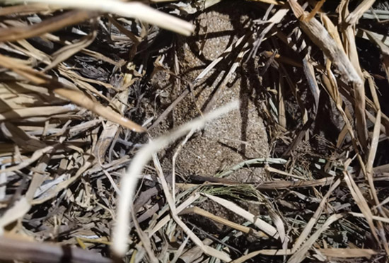 ���j���������������������_�u��׾��������漆