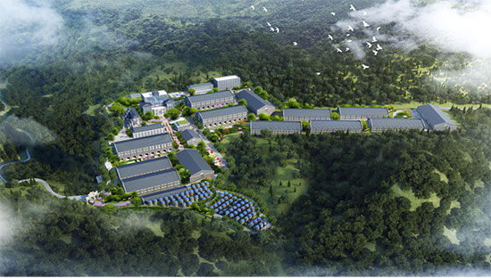 é�_�(zh��n)����ǰʮ�ľƏS���F�ݹ�ᄷ��ƘI(y��)��é�_�(zh��n)������