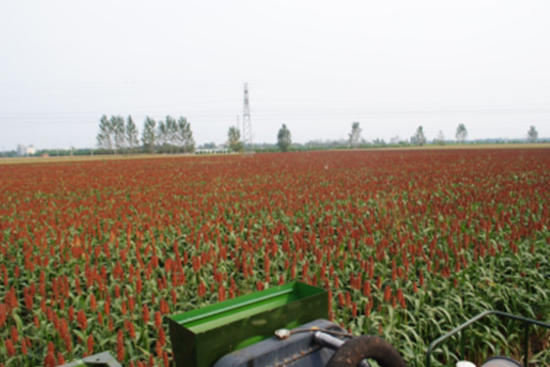 ���M(f��i)�ͷN�ӣ����M(f��i)ָ��(d��o)�����o(h��)�r(ji��)��ُ(g��u)��|���(y��ng)���ƘI(y��)ᄾƸ����Nֲ���_(k��i)ʼ��ļ����