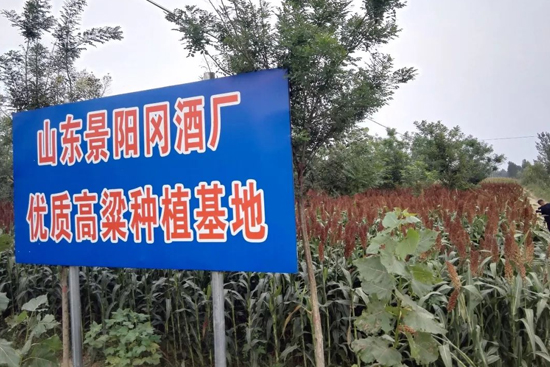 ���M(f��i)�ͷN�������M(f��i)ָ��(d��o)�����o(h��)�r(ji��)��ُ(g��u)��|���(y��ng)���ƘI(y��)ᄾƸ����Nֲ���_(k��i)ʼ��ļ����