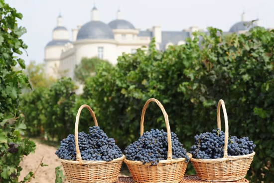 ��?ji��n)����x����Ʒɽ�|��Ʒ�ƣ��ܺ齭���������L(f��ng)�����к����Ѿ�