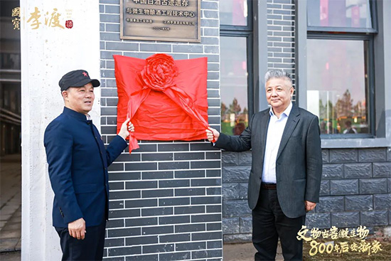 �����p�о�Ժ����ɾƘI(y��)�ԡ����g+�Ļ����˄Ӹ��|(zh��)���l(f��)չ