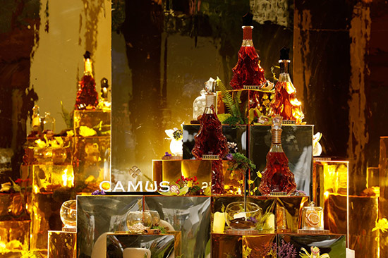 ��Ľ���(hu��)�c����s ��ħ��ɭ�֡� ���܂��а���Ľ�(j��ng)������