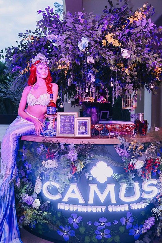 ��Ľ���(hu��)�c����s ��ħ��ɭ�֡� ���܂��а���Ľ�(j��ng)������