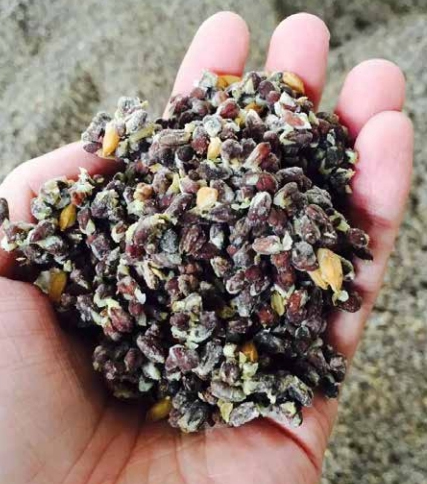 "���ݱ����׾�"��ӡ�ᣬ����ѩ�w�ƴ��ǌ��^(q��)����