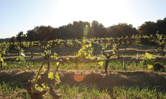 �V�|���ϾƘI(y��)���޹�˾