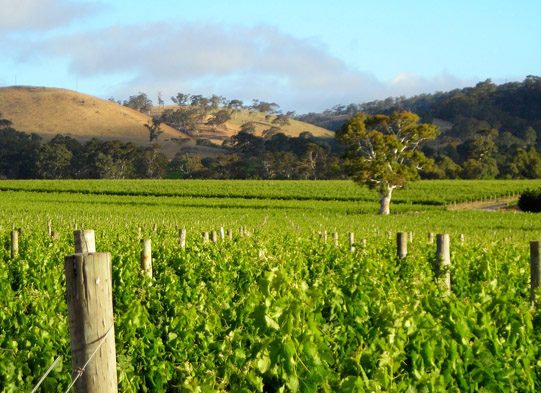 �V�|���ϾƘI(y��)���޹�˾