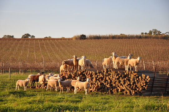 �V�|���ϾƘI(y��)���޹�˾