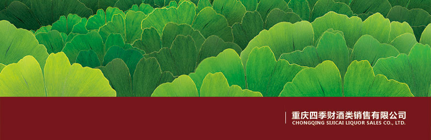 �ؑc�ļ�ؔ(c��i)����N�����޹�˾