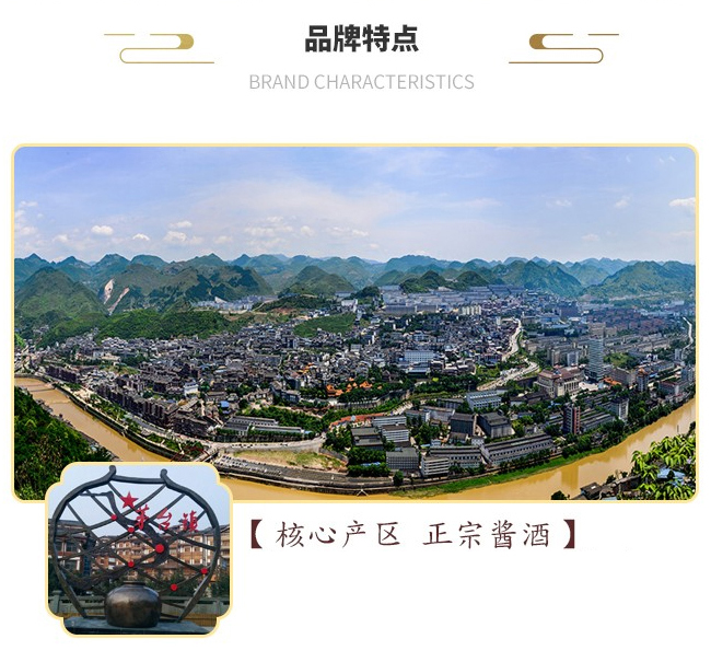 龍國(guó)宴酒20輕奢版醬香型白酒【53°500ml】