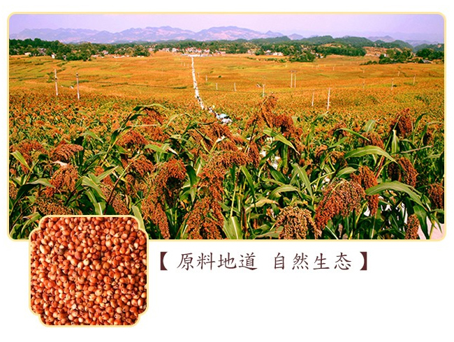 龍國(guó)宴酒20輕奢版醬香型白酒【53°500ml】