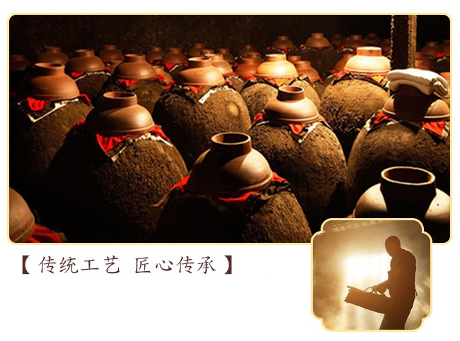 龍國(guó)宴酒20輕奢版醬香型白酒【53°500ml】