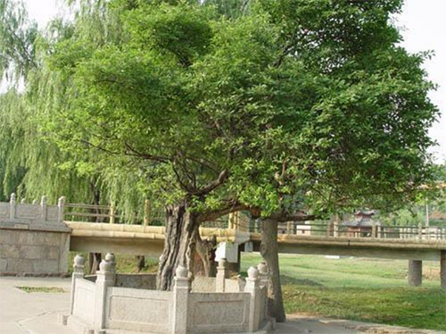 ���(y��ng)�ſ��عɶſ���Һȫ��(gu��)�\(y��n)�I(y��ng)����