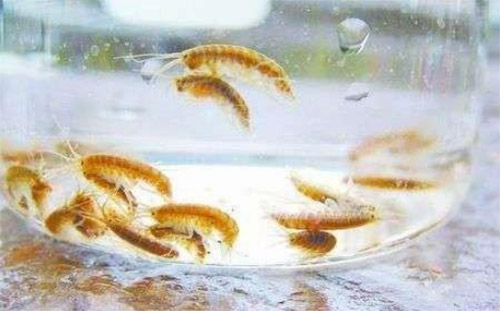 ���(y��ng)�ſ��عɶſ���Һȫ��(gu��)�\(y��n)�I(y��ng)����