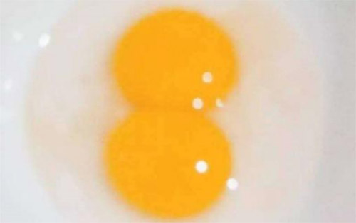 ���(y��ng)�ſ��عɶſ���Һȫ��(gu��)�\(y��n)�I(y��ng)����