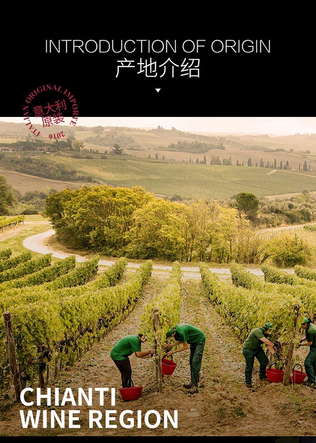 意大利彼奇尼坎特尼白葡萄酒