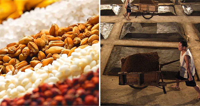 �x���v�_(d��)�ơ���Ʒ