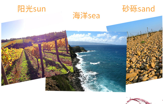 �������ЙC(j��)�������x�ɼt���Ѿ�