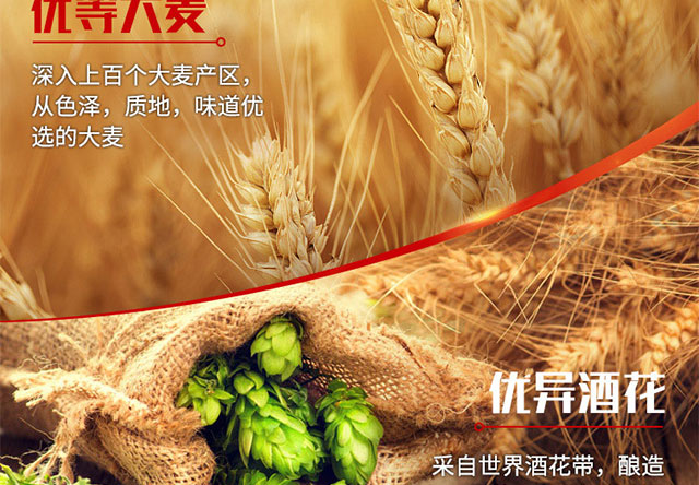 �������ơ��320mlx24