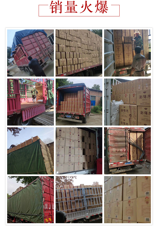 �����o����42��52��475ml�����Ͱ׾�