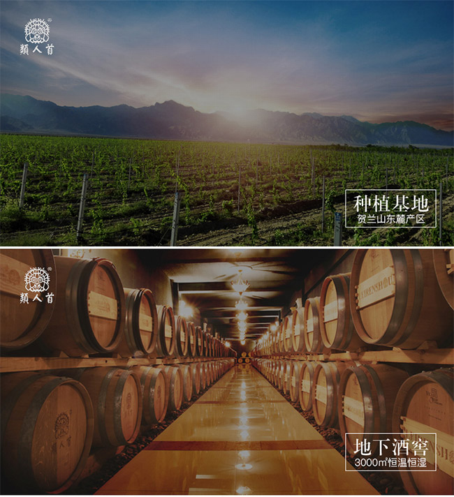 類(lèi)人首R(shí)7干紅葡萄酒13°750ml