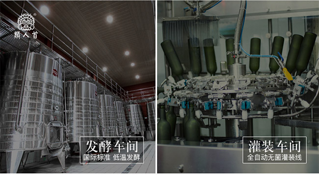 類(lèi)人首R(shí)7干紅葡萄酒13°750ml