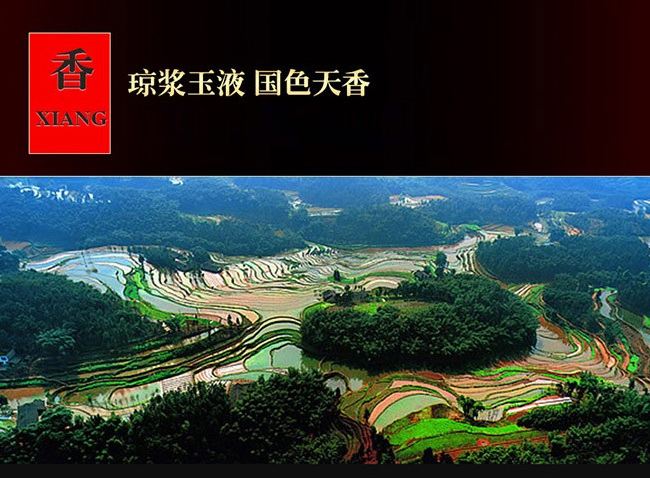 ��ϲ�l(f��)ؔ(c��i)��-���