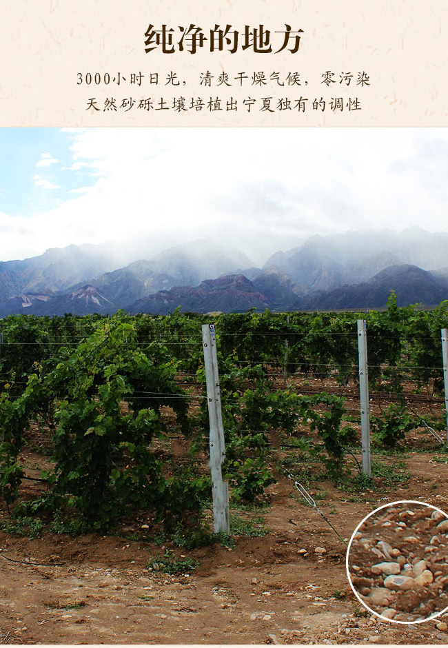 ������⾳�f����ظɼt���Ѿ�13.5��750ml