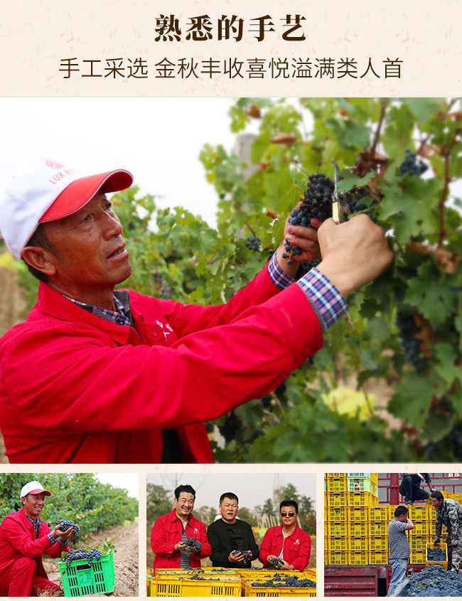 ������⾳�f����ظɼt���Ѿ�13.5��750ml