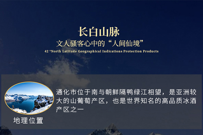 紫桐優(yōu)選冰凍山葡萄酒