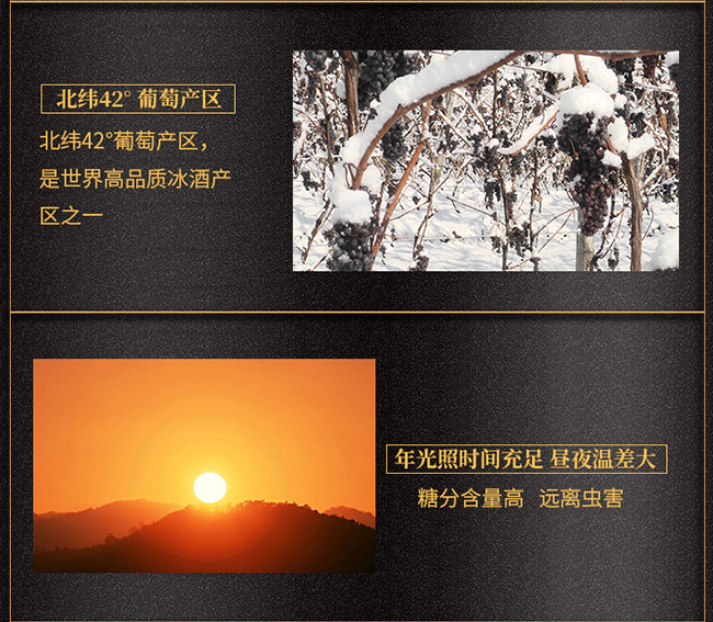 紫桐優(yōu)選冰凍山葡萄酒