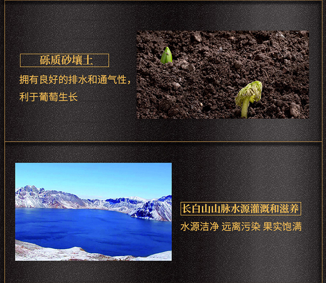 紫桐優(yōu)選冰凍山葡萄酒