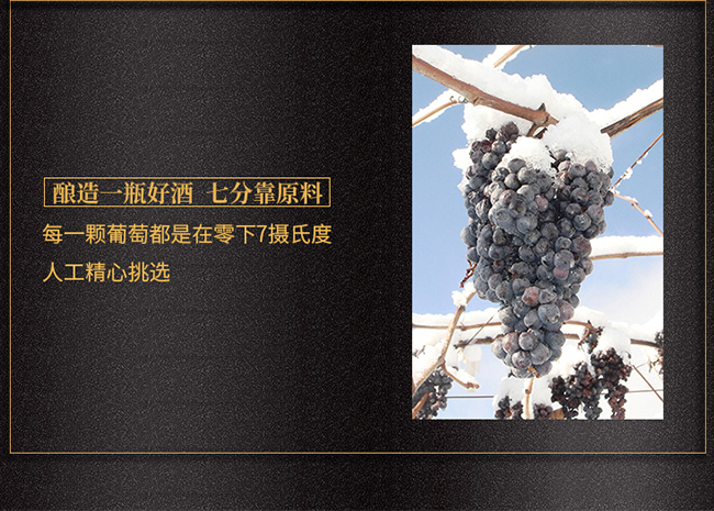紫桐優(yōu)選冰凍山葡萄酒