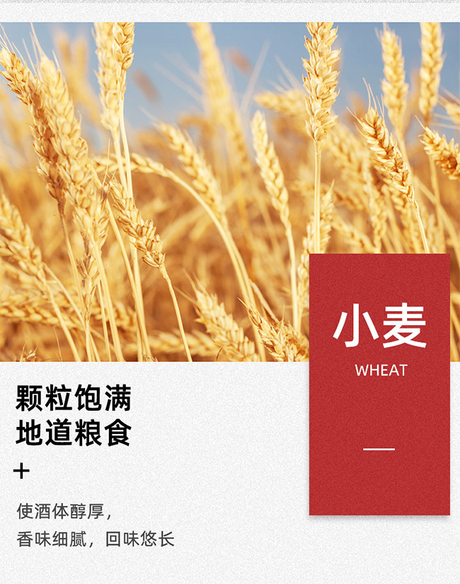 �F��ӭ�e��