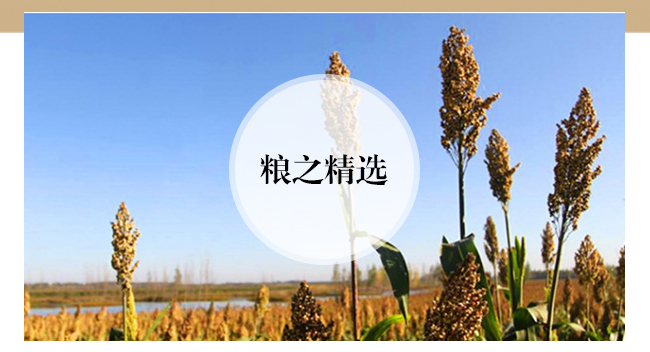 ����Ѿơ��≯ʮ��